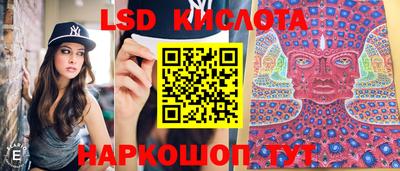 сатива Тверь