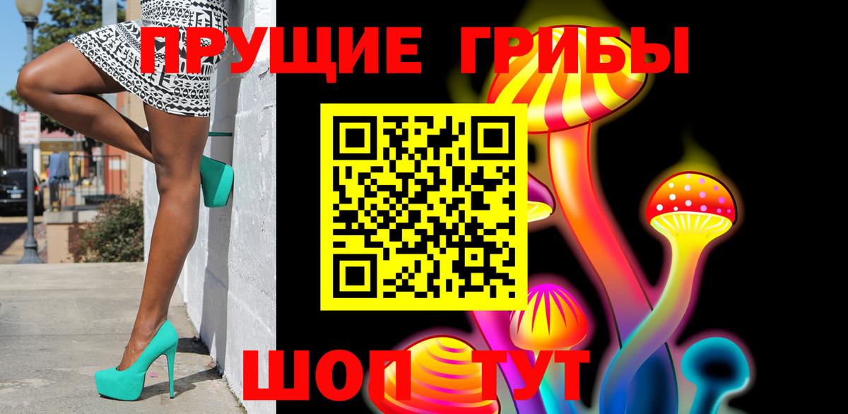Нарткала  купить наркотик  Вход с VPN  Галлюциногенные грибы Magic Shrooms  Галлюциногенные грибы Psilocybe 