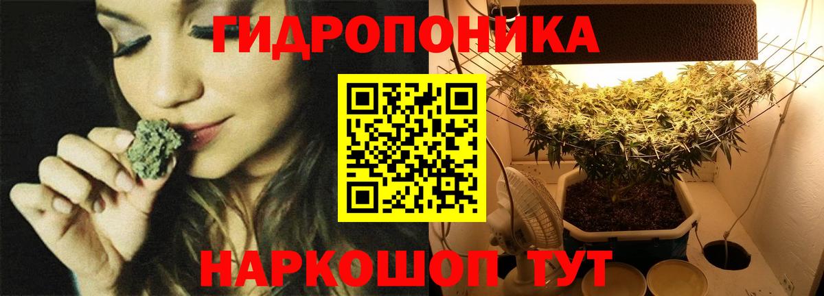 Шишки марихуана OG Kush  Конопля VHQ  Вход с VPN  Нарткала 